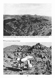 611 GYRAFRIQUE_000023